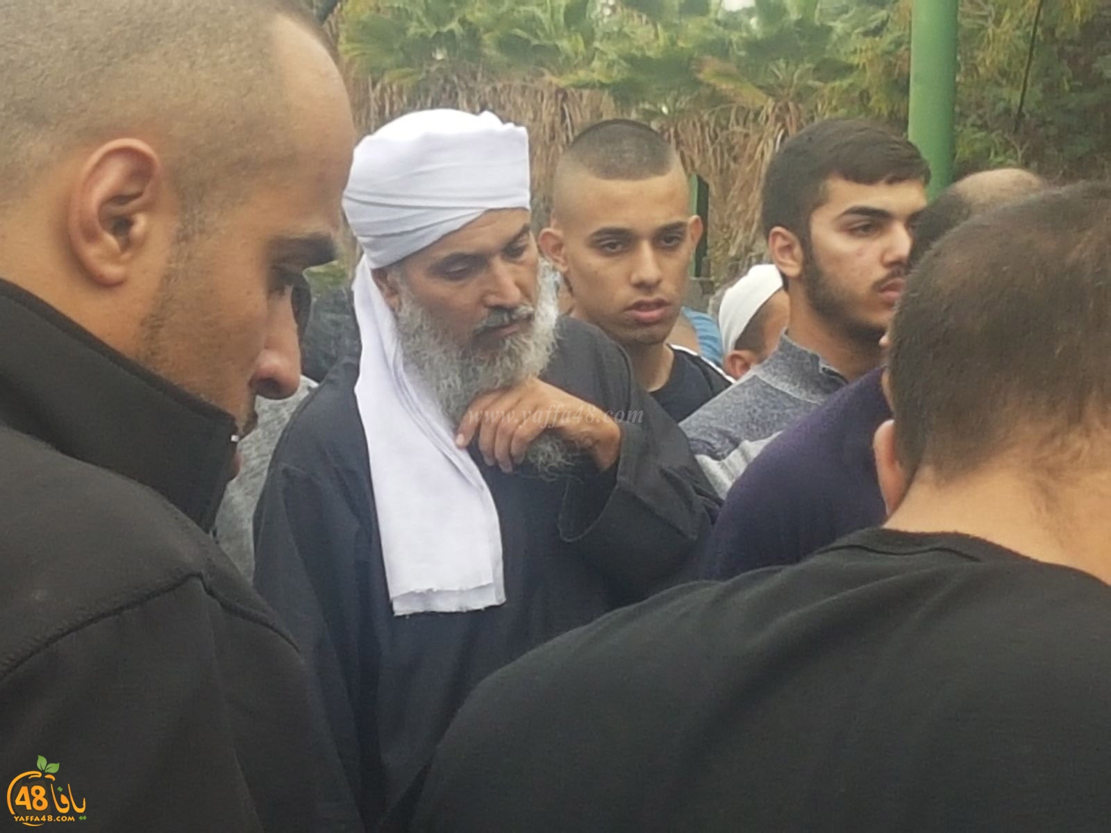 tasheeye3 om mhmoud (13).jpg